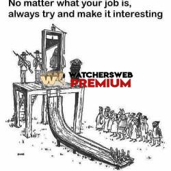 I Bet They Did This - Ray - QLD, Australia