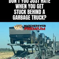 Garbage - Ray - QLD, Australia