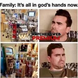 Spot On - Ray - QLD, Australia