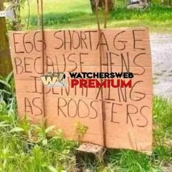 2025 - Ray - QLD, Australia