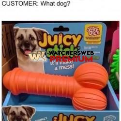 Awkward - Ray - QLD, Australia