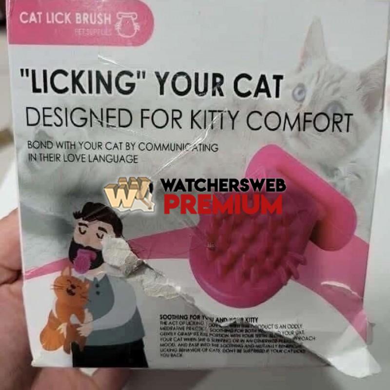 I Wonder If It Works - Ray - QLD, Australia