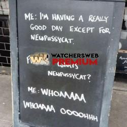 Oh Tom - Ray - QLD, Australia