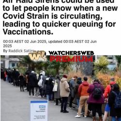 Yeah Right - Ray - QLD, Australia