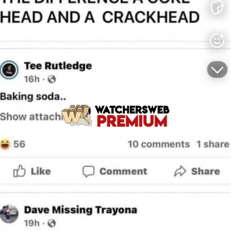 Different Heads - Ray - QLD, Australia