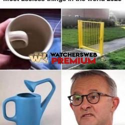 True - Ray - QLD, Australia