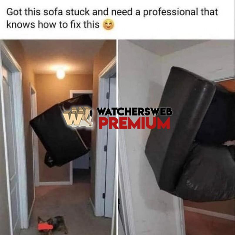 At Least He Is Honest - Ray - QLD, Australia