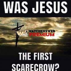 Perhaps - Ray - QLD, Australia