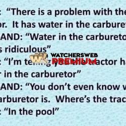 Swim - Ray - QLD, Australia