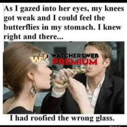 Wrong One - Ray - QLD, Australia