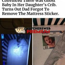 Scary - Ray - QLD, Australia