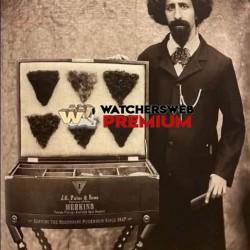 Wigs Anyone? - Ray - QLD, Australia