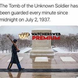 I Didnt Know This - Much Respect â¤ï¸ - Ray - QLD, Australia