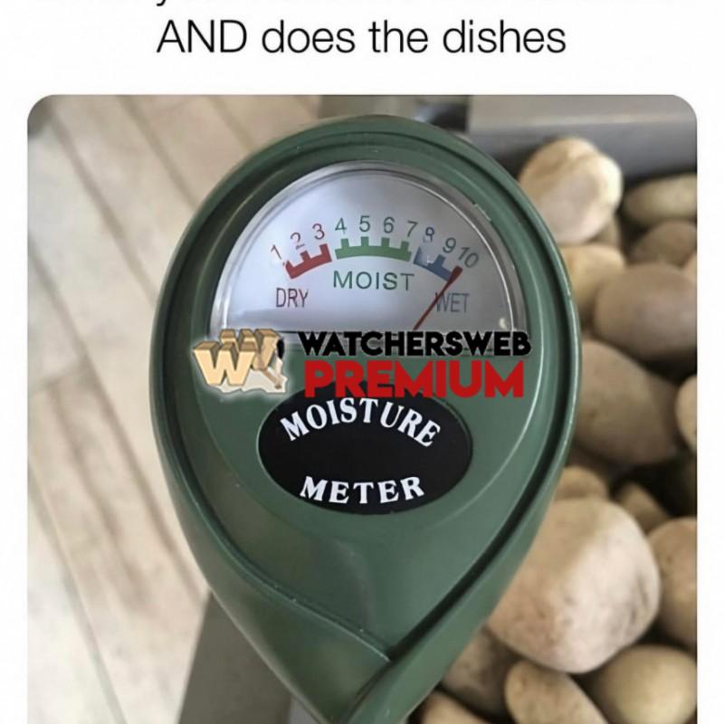 Not In My House - Ray - QLD, Australia