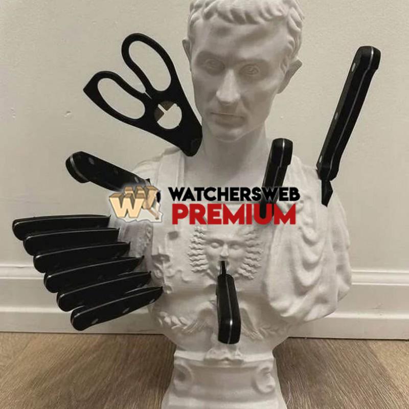 Love This - Ray - QLD, Australia