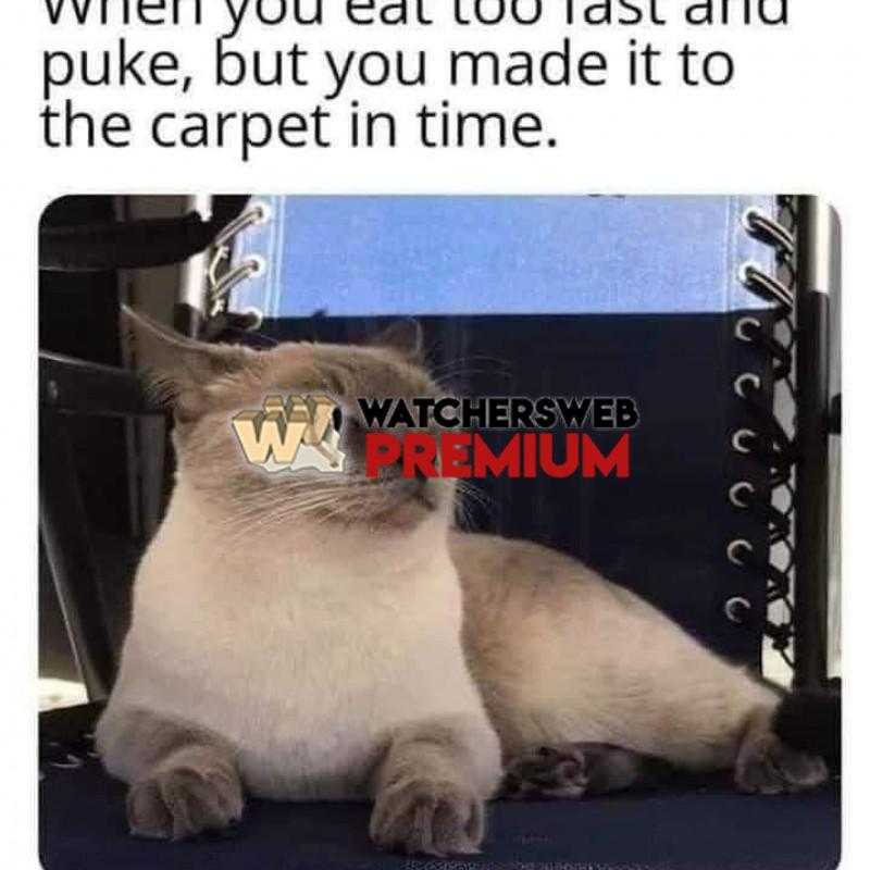 Been There - Ray - QLD, Australia