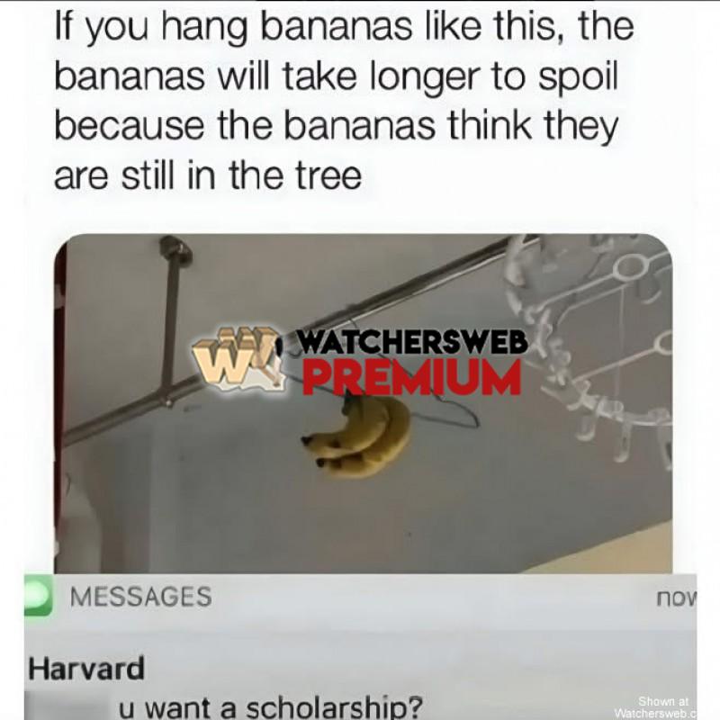 Genius - Ray - QLD, Australia