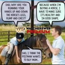 Postman - Ray - QLD, Australia