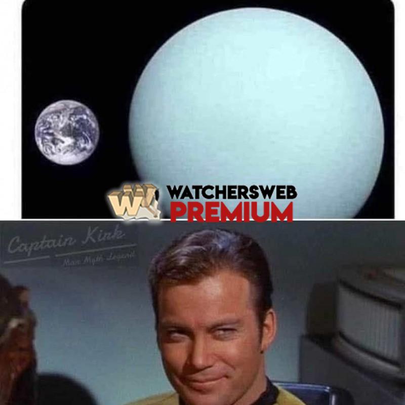 Be Gentle - Ray - QLD, Australia