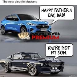 True That - Ray - QLD, Australia