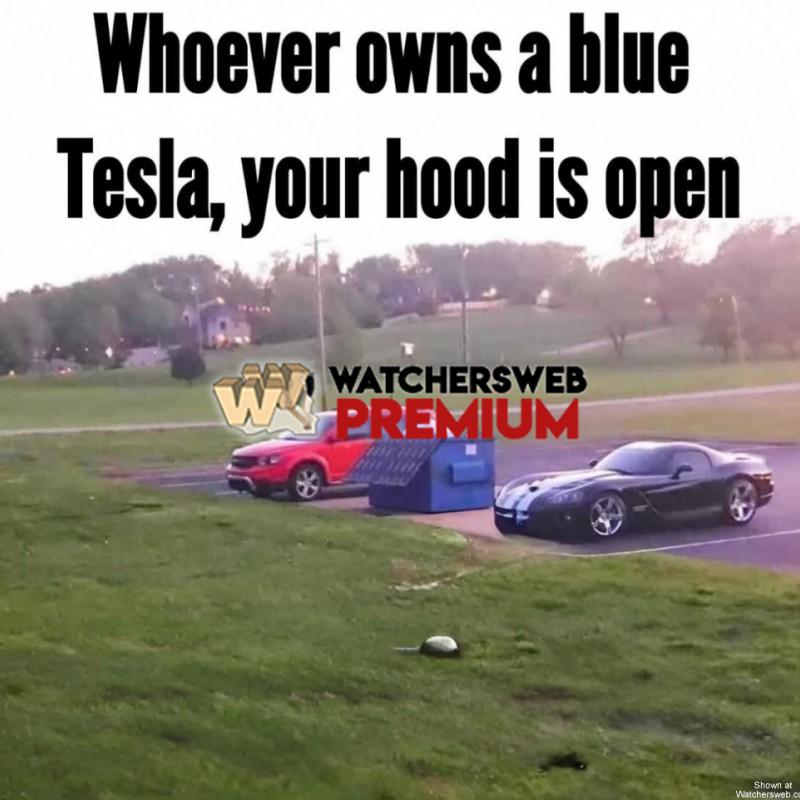 Tesla - Ray - QLD, Australia