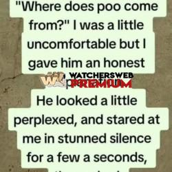 One Of My Favorites - Ray - QLD, Australia