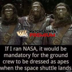 Would Be So Funny - Ray - QLD, Australia