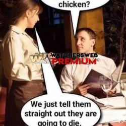 Chooky - Ray - QLD, Australia