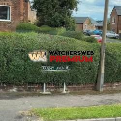 Neat Bush - Ray - QLD, Australia
