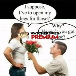 Logic - Ray - QLD, Australia