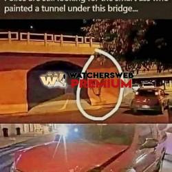 Sudden Stop - Ray - QLD, Australia