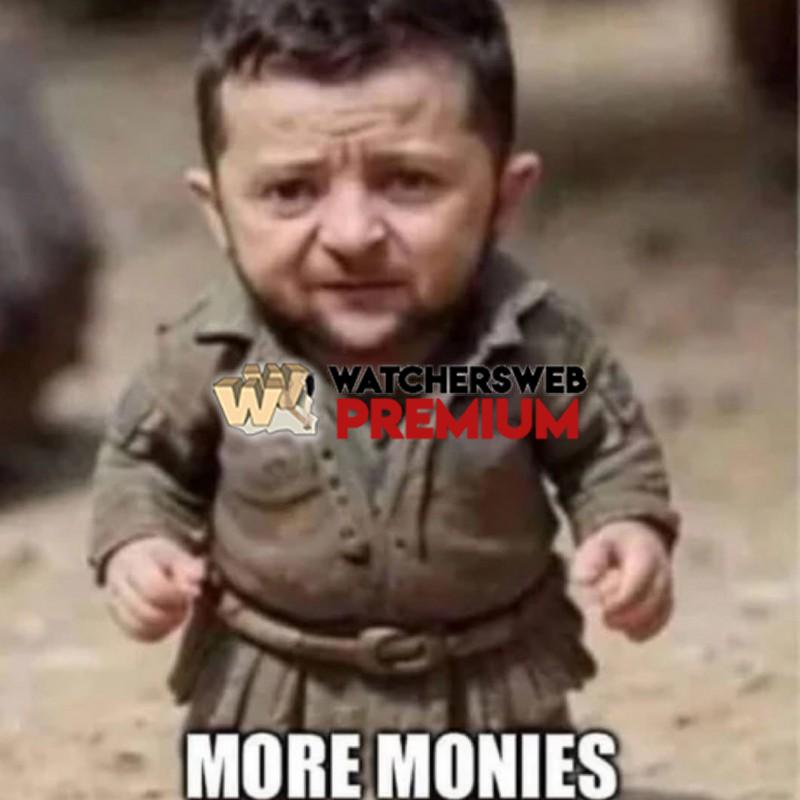 Don't Think So Chief - Ray - QLD, Australia