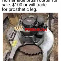 Good Deal - Ray - QLD, Australia