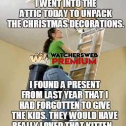 Merry Christmas - Ray - QLD, Australia