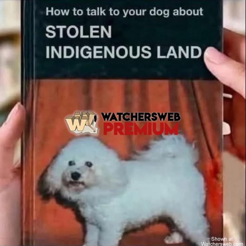 A Good Read - Ray - QLD, Australia