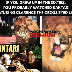 One Of My Favs - Ray - QLD, Australia