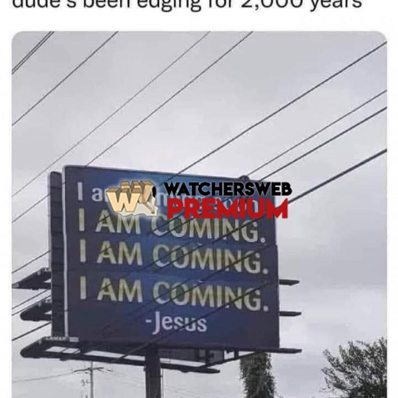 Good Lord - Ray - QLD, Australia