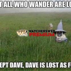 Poor Dave - Ray - QLD, Australia