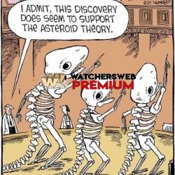 Look At That - Ray - QLD, Australia