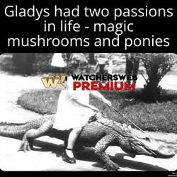 Oh Gladys - Ray - QLD, Australia