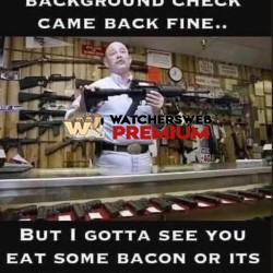 Sounds Fair - Ray - QLD, Australia