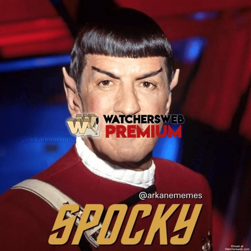 Spocky - Ray - QLD, Australia