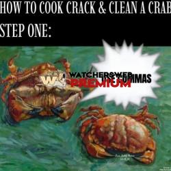 Grammar Helps - Ray - QLD, Australia