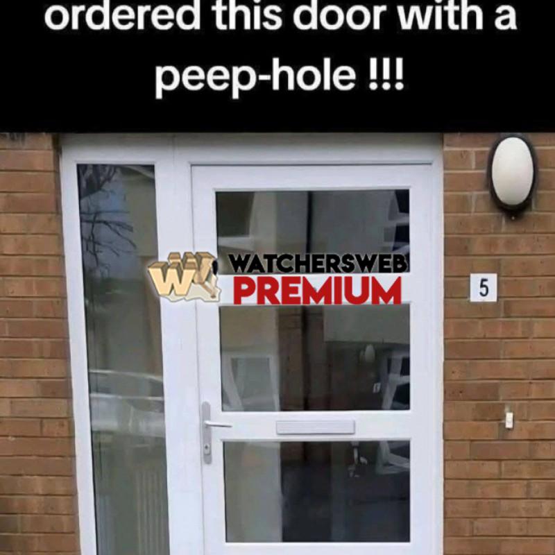 Stupid - Ray - QLD, Australia