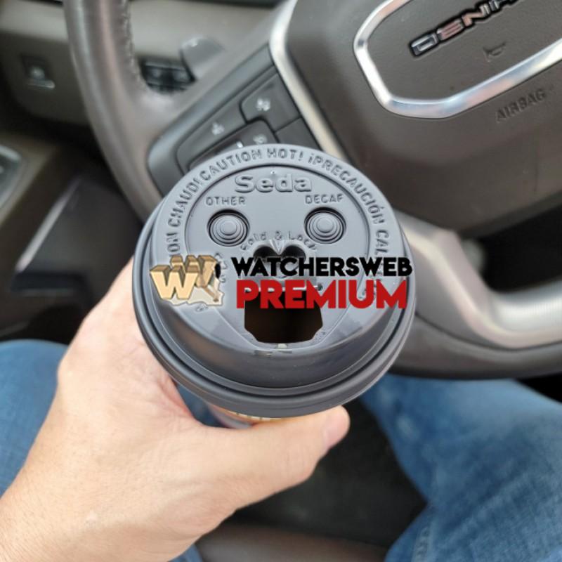 Baby Gorilla - Amberlynn - USA