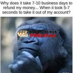 Bugs Me - Ray - QLD, Australia