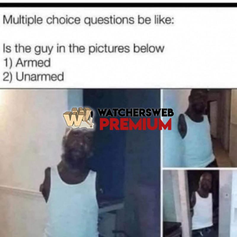 Terrible Haha - Ray - QLD, Australia