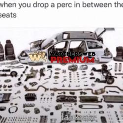 Who Can Relate - Ray - QLD, Australia