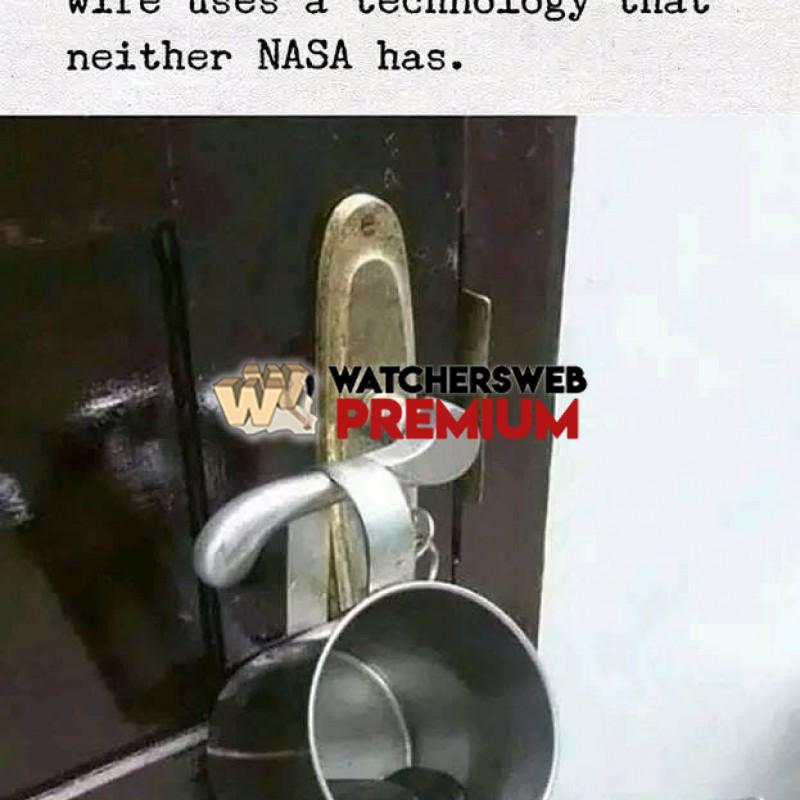 Busted - Ray - QLD, Australia