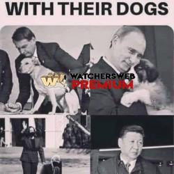 World Leaders - Ray - QLD, Australia